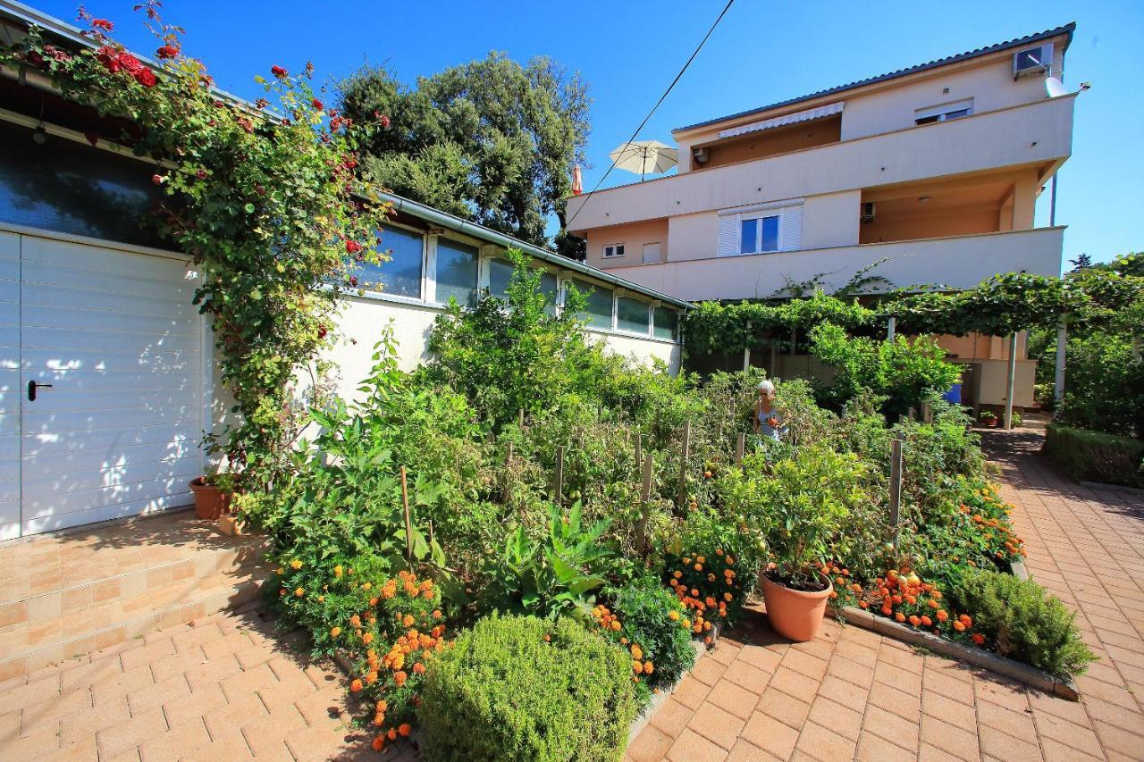 Sunny Apartments Bibinje Zewnętrze zdjęcie